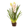 Cymbidium Giant Paper Pot 110cm Light Pink