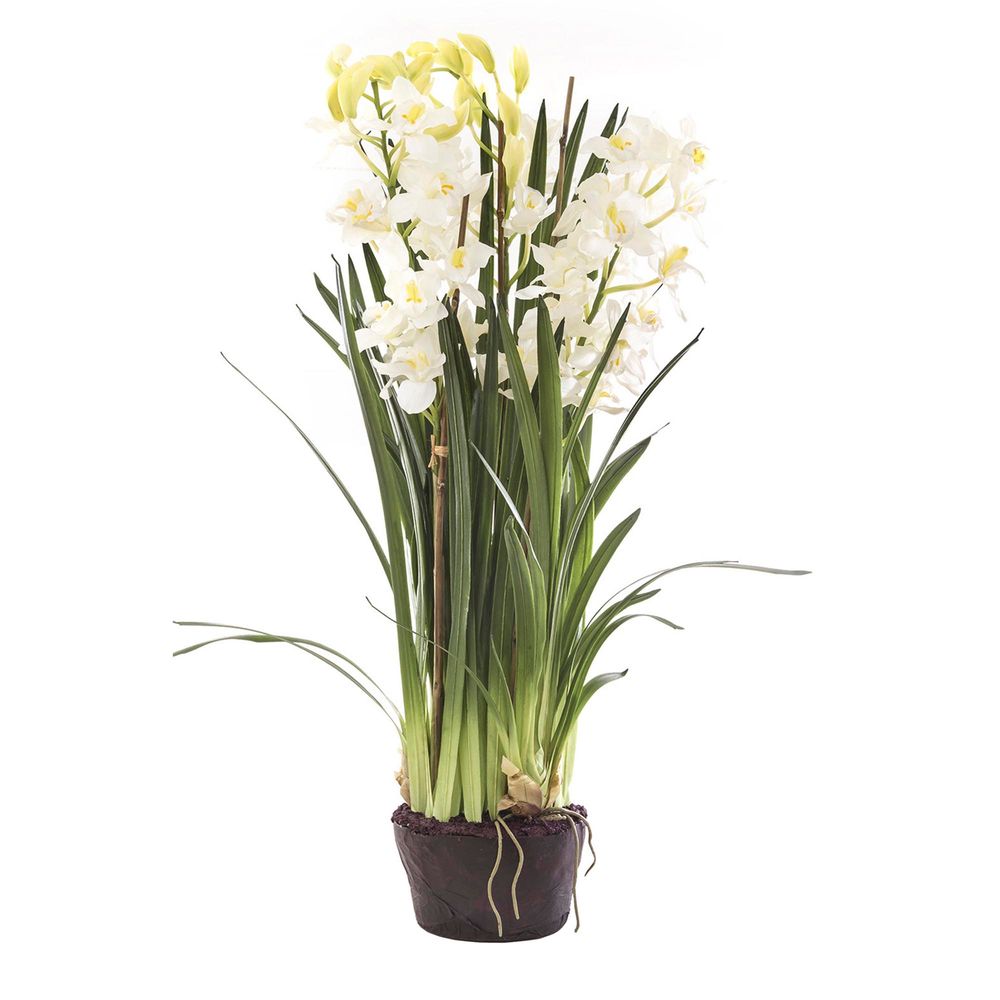 Cymbidium Giant Paper Pot 110cm White