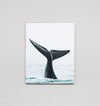 It's A Whale Tail Framed Canvas