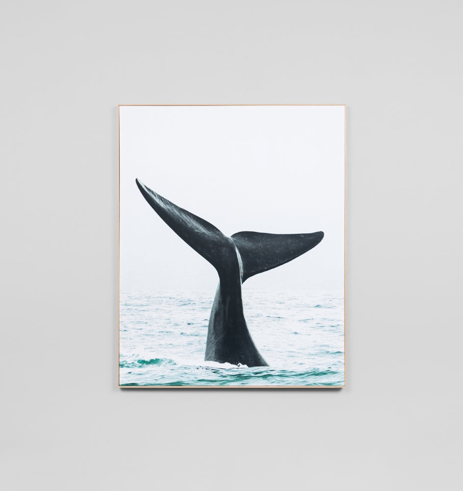 It's A Whale Tail Framed Canvas 120 x 150cm
